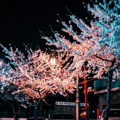 daniel-bernard-XU2WQJKtxw0-unsplash