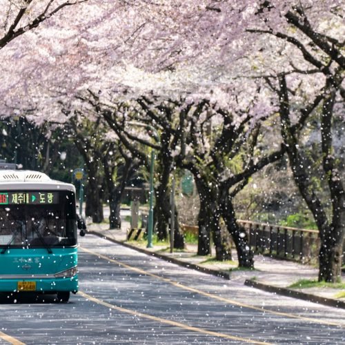 ji-seongkwang-CX7fI2LXJgo-unsplash